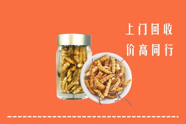 丽水市缙云回收冬虫夏草